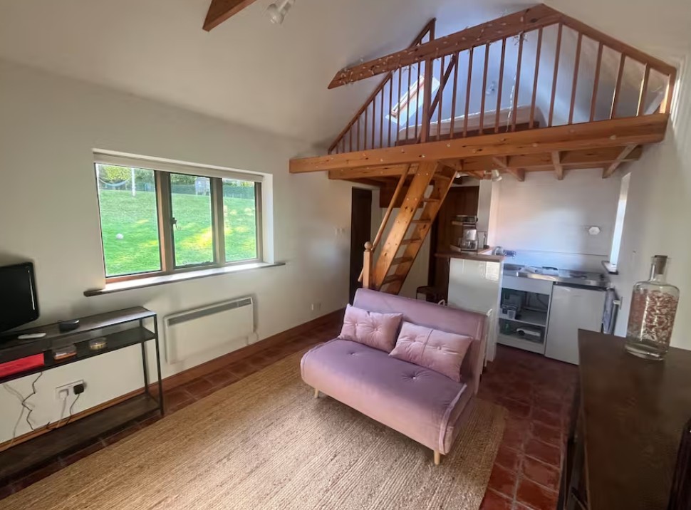 Vaulted living room with a pink sofa, a window onto the garden and a pine mezzanine above
